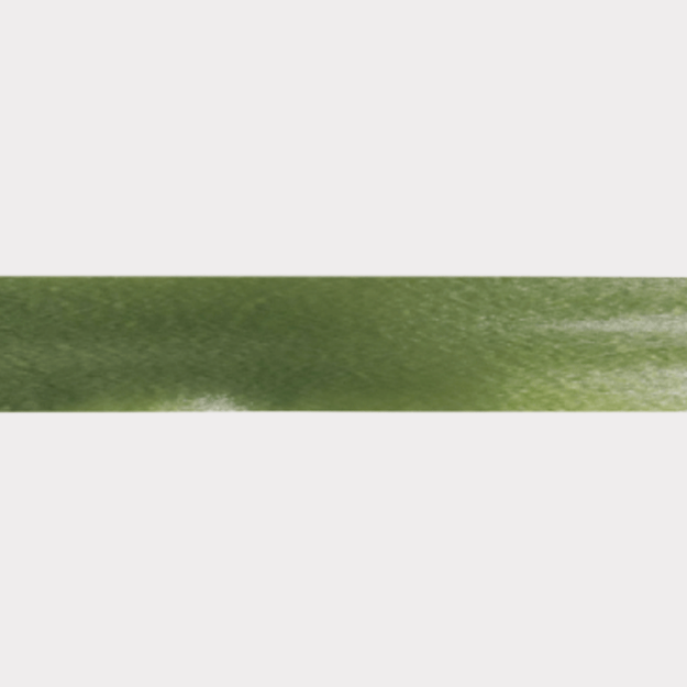 Picture of Poly ribbon, moss