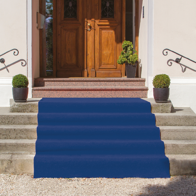 Picture of Blue carpet