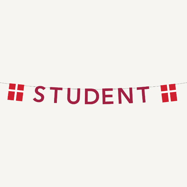 Billede af Guirlande, flag student