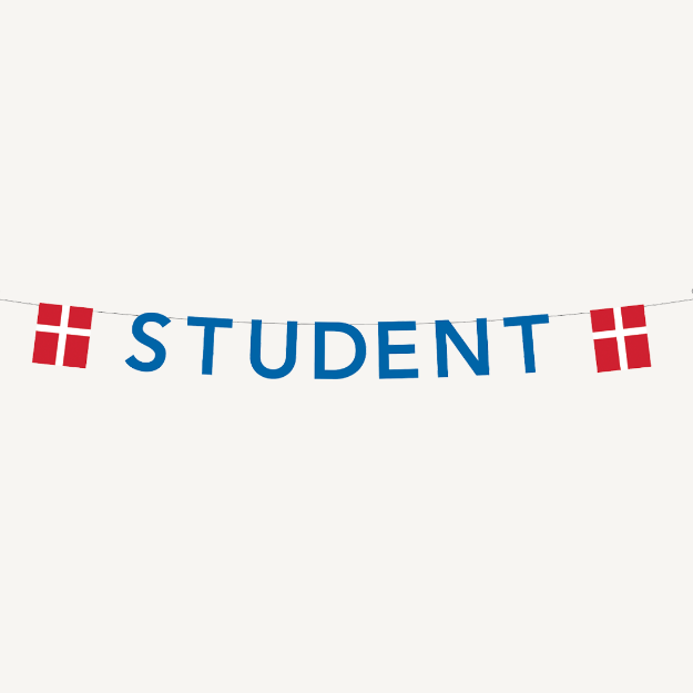 Billede af Guirlande, flag student