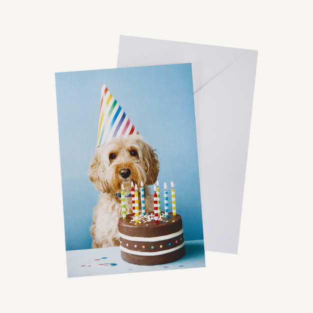 Picture of Card, dog