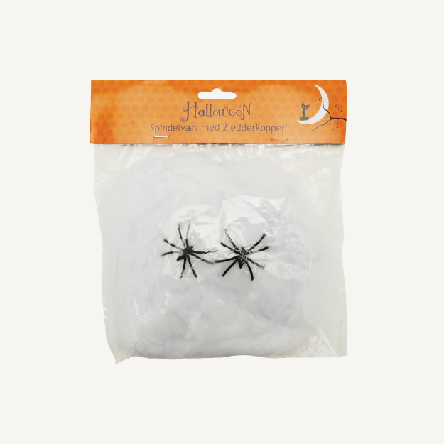 Picture of Web with spiders