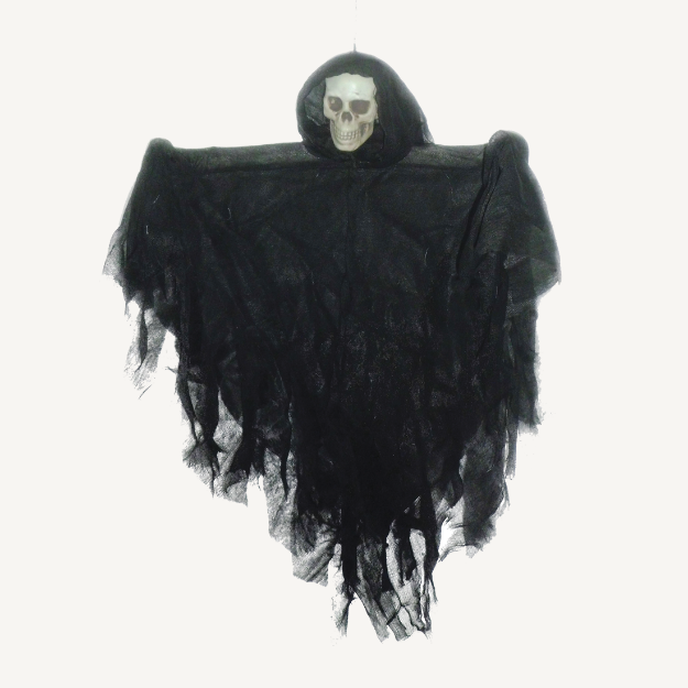 Picture of Hanging skelleton