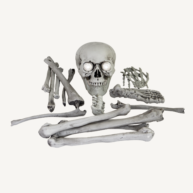 Picture of Skull and bones 
