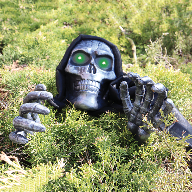 Picture of Skull and hands