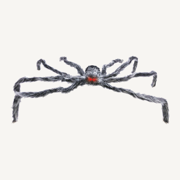 Picture of Spider