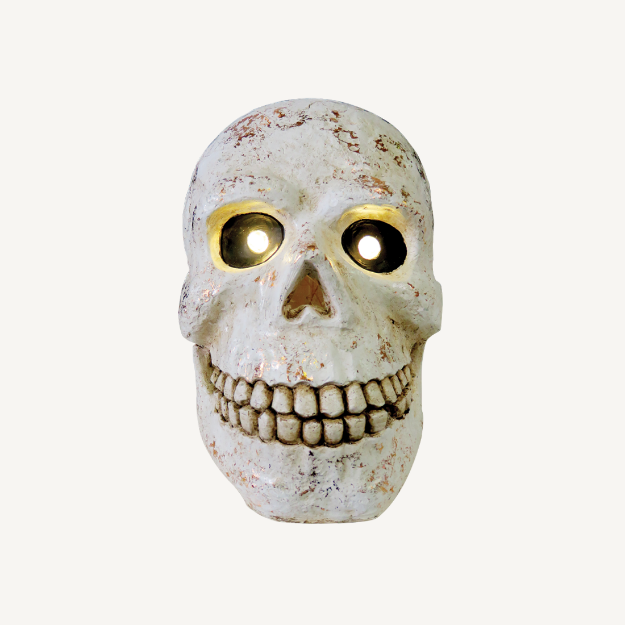Picture of Skull with LED